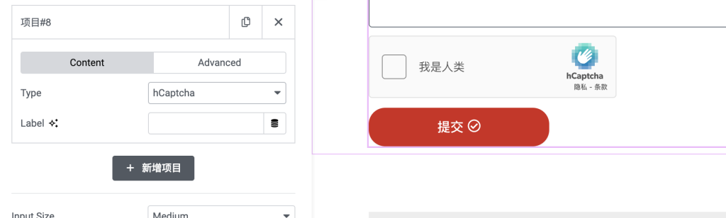 国内服务器访问不了reCaptcha怎么在elementor的from表单中添加hCaptcha验证方式插图1